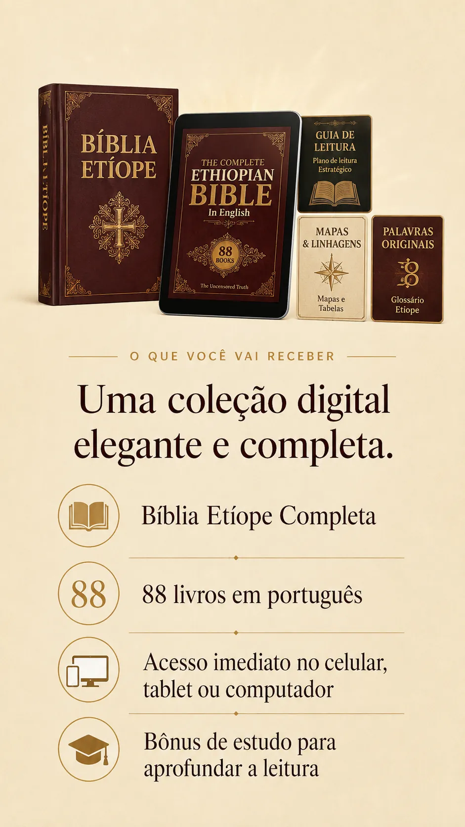 O que você vai receber